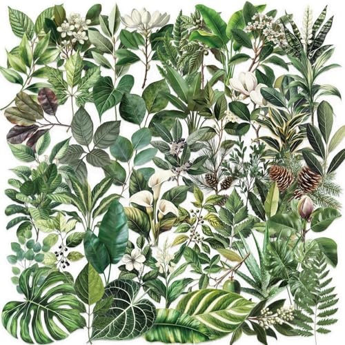 Transparent Green Leaf Stickers 50Pcs Cute Cartoon Plant Sticker for Laptop Water Bottle Luggage Skateboard Scrapbook Helmet Bike Car,Waterproof Funny Trendy Green Leaves Decals for Teens Girls