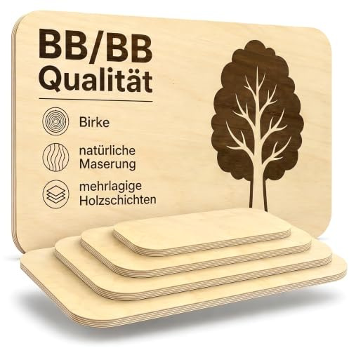 AUPROTEC 20x40 cm Multiplex Holzplatte aus Birke | schwarz | 18mm | Melaminbeschichtete Birke in BB/BB Qualität, robust und pflegeleicht. Ideal für Möbelbau, Werkstatt und DIY.