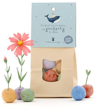 8 Wildblumen-Saatkugeln als kreatives Geschenk | Samenbomben mit Wildblumen-Saatgut | Perfekte Geschenkidee für Neuanfänge, Prüfungen, als Mutmacher und Aufmunterungsgeschenk