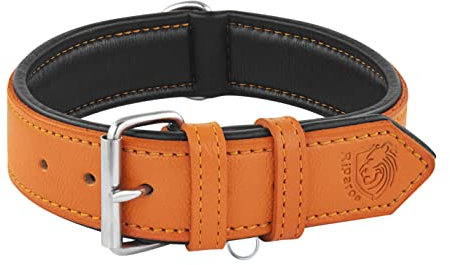 Riparo Echtes Leder Verstellbares Hundehalsband mit Zusätzlicher Verstärkung (M: 2,5CM Breit für 34,3CM - 44,5CM Hals, Orange)