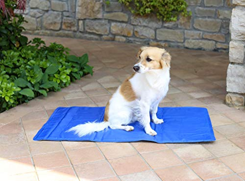 Italian Bed Linen Sogni e Capricci Pets, Tapis de Refroidissement, Bleu, 50X90 cm