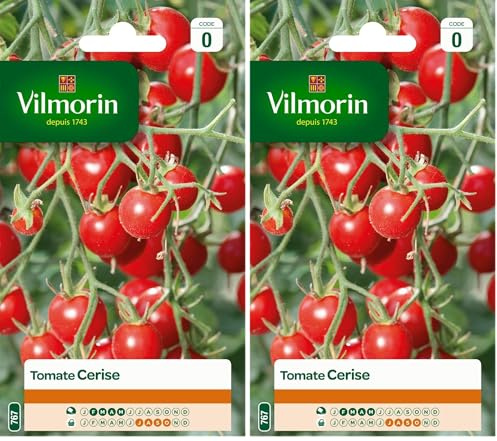 Vilmorin 3974040 Tomate cerise Rouge
