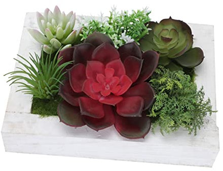 Garneck Hängendes Fotorahmen- Kreative Wandkunst Kunstpflanzen-wandornament Wanddekoration Für Zuhause