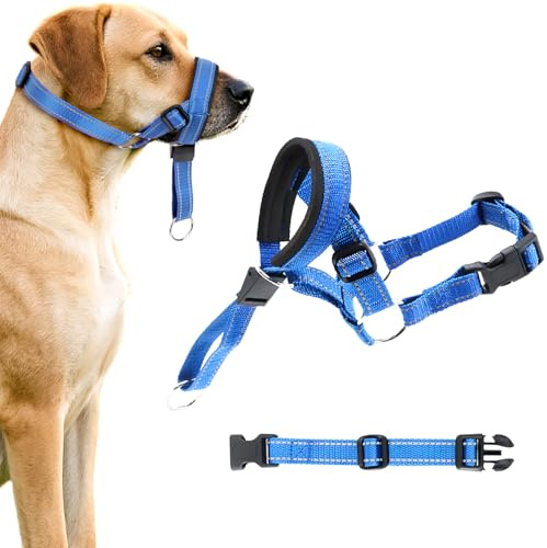 MOTIBACK Dual Use Anti-Pull & Anti-Bite Dog Headcollar with Safety Leash, Adjustable Padded Head Halter for Small to Extra Large Dogs, Training Harness for Walking and Behaviour Control, Blue（S）