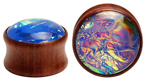 KUBOOZ Sea Shell Centre Ohrenstöpsel aus Holz, Tunnel, Messgerät, Piercing, Schmuck