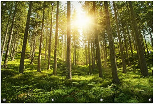 Wallario Outdoor-Poster für Garten oder Balkon Sonnenstrahlen im Nadelwald mit Moos und Farn, Motivbanner Größe: ca. 100 x 150 cm, Outdoor-Bild