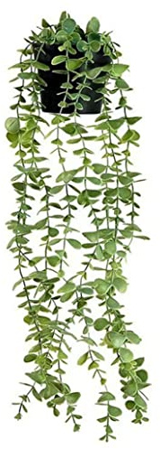 Wedhapy Artificial Hanging Plants Fake Plants Artificial Plants Indoor Artificial Ivy Hanging Plants Indoor Outdoor In Pot Fake Potted Plants Plastic Faux Plant For Wall Decor Mandala 47cm