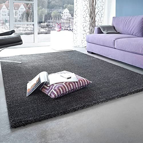 Astra Wohnzimmerteppich hochwertig- Pflegeleichte Teppiche für Wohnzimmer, Schlafzimmer, Arbeitszimmer - Samoa Uni Anthrazit 80x150 cm