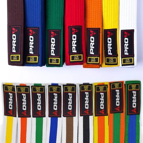 Pro4 Budo Gürtel 1 oder 2 farbig für Kampfsport Karate TKD Kickboxen Judo Jiu Jitsu 220 240 260 280 300 oder 320cm