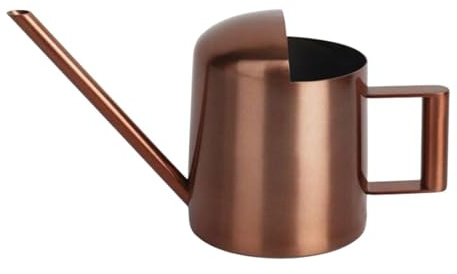 KIXZSAZ Annaffiatoio con beccuccio lungo in metallo dorato per annaffiare piante da interno ed esterno, piante grasse con stile, da interno, grasse esterno