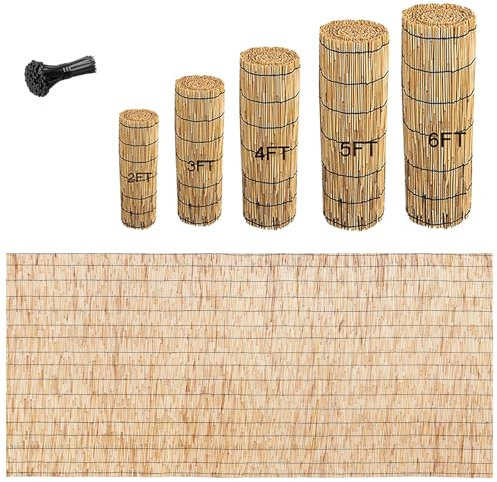 LRHELPBNR Schilfrohrmatte, Sichtschutzmatte Von Bambus-Discount Schilfmatten, Zaun Balkon Sichtschutz Natürliches Bambus Matten Wetterfest Windschutz & Sonnenschutz(1.22x2m/4x6.5ft)