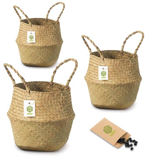 SEED Cesta de Mimbre para Plantas – Tejida a Mano con Mimbre Natural – Aporta Orden y Calidez – Ideal como Cubremacetas Decorativo Interior y Almacenaje – Incluye Semillas de Regalo (Pack 3 S+M+L)