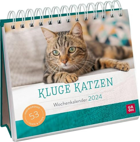 Harenberg Kluge Katzen - Wochenkalender 2024 - Postkartenkalender - Groh-Verlag - Aufstellkalender - Tischkalender mit 53 Postkarten - 17 cm x 18,1 cm