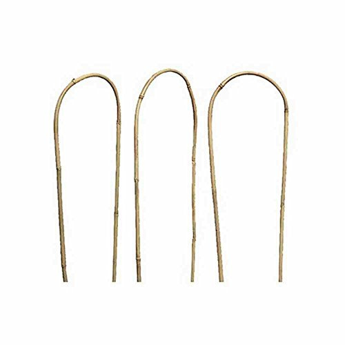 Siena Garden Rankhilfe 150cm 3er Bund Bambus, U-Form, Ø14-16mm