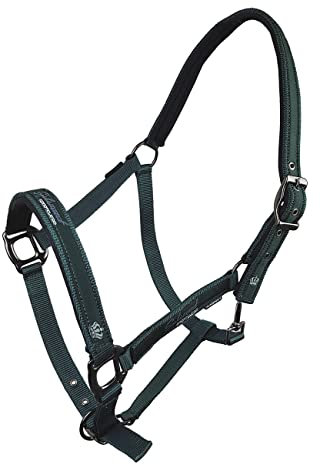 Horsenjoy Halfter Cassia Pferdehalfter (Cob, Grün)