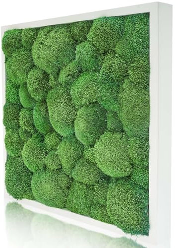 naturewalls Parent- Moosbild KM (Weiß, 55 x 55)