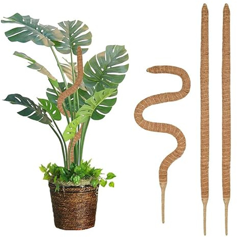 EHOTER Tuteur Plante Plante Tuteur Coco Support pour Plante Grimpante pour Plante Monstera Extension Et Support pour Maison Jardin De Support De Plante 2 Pièces (120cm)