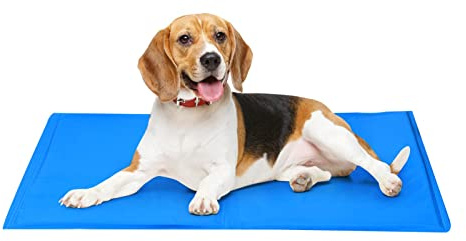 Hunde Kühlmatte 50 x 40 cm - Kühldecke Hund mit ungiftigem Gel selbstkühlend | Kühlmatte für Hunde oder Katzen | Hundebett Cooling mat Dog hundedecke kühlend | Erleichterung an heißen Tagen (M)