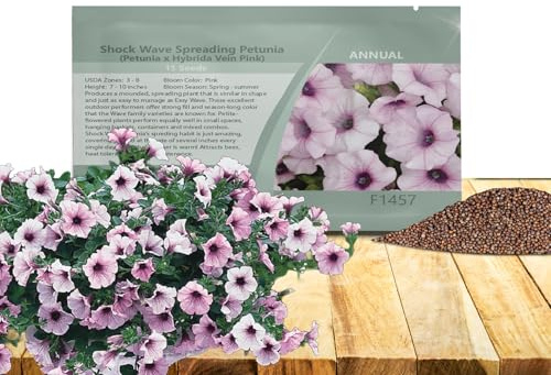 Outsidepride The Pink Vein Easy Wave Petunia Seeds - 15 Pcs. Annual, Compact & Spreading Flower Seeds for Planting Low Growing Vibrant Blooms, Garden Beds, Hanging Baskets & Container Displays