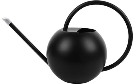 Bouteilles d'eau en acier inoxydable de 1000 ml, arrosoir à bec pour plantes d'intérieur, petit pot en métal vintage, bouteille en métal longue semi-ouverte pour jardin