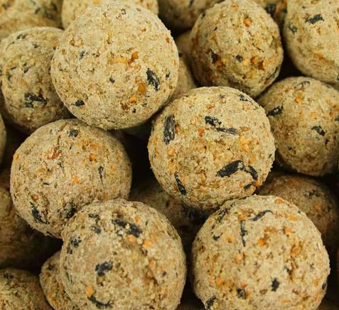 BusyBeaks Bolas de Grasa de Suet | Comida Premium para Aves Silvestres | Fórmula Mejorada Todo el Año | Mezcla Natural Alta en Energía y Rica en Proteínas | Llena de Grasa Nutritiva (Paquete 300)