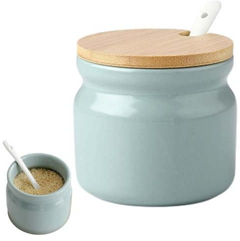 Jiakalamo Ceramic Sugar Bowl with Lid and Spoon, Seasoning Storage Jar Sugar Pot Salt Container for Coffee Bar, Home Kitchen(light green)