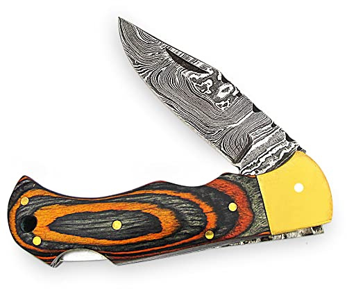 PAL 2000 KNIVES Coltello pieghevole - Coltello tascabile fatto a mano in acciaio di Damasco FOL-4002