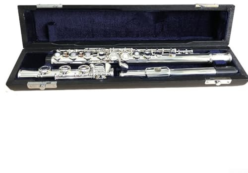 HEBEOT Flötenetui, Aufbewahrungstasche, tragbare Flöten-Tasche, Leder, Flötenbox, tragbare Flöten-Tasche für 16–17 Löcher (17 Löcher)