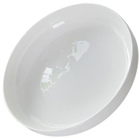 JECOMPRIS Piatto Profondo in Bone China Bianco Rotondo per Uso Domestico Vassoio Pratico Multiuso per Microonde e Servizio di Snack Frutta e Dessert