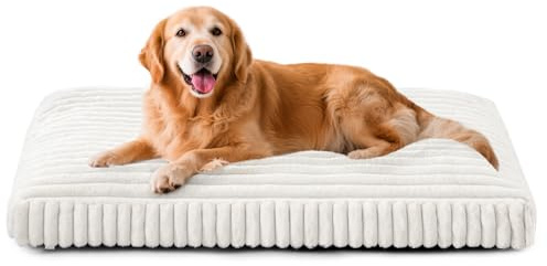 Dog Beds Large Sized Dog, Flat Pet Beds with Removable Washable Cover, Pet Mat Cute Pet Crate Bed Thick Shredded Chopped Crate Foam & Anti Slip Bottom for Indoor, 35x23x4 Cream