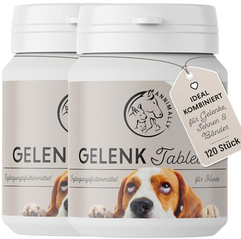 Gelenktabletten für Hunde mit MSM, Grünlippmuschel, Teufelskralle, Glucosamin & Hyaluron - 2 Dosen á 120 Gelenke Tabletten für Hunde - Hohe Akzeptanz beim Hund durch kleine Tabletten - Doppelpack