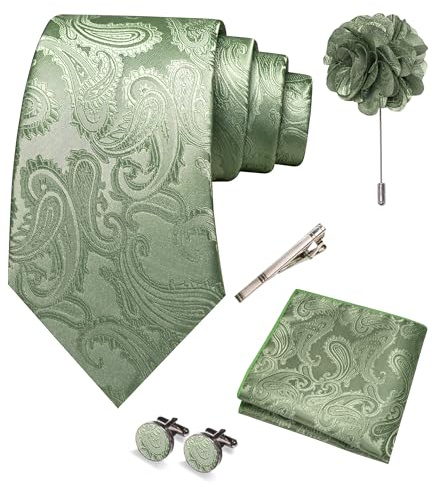 RBOCOTT Sage Green Paisley Tie Necktie and Pocket square Cufflinks Lapel Pin Tie Clip Sets for Men 5PCS(31)