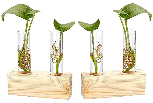 2 Stücke Reagenzglas Vase aus Holz, Hydroponische Vase mit Holzrahmen, Reagenzglas Blumenvase, Verwenden Sie zu Office Home Decoration, Geschenk für Hochzeit Geburtstag (mit 2 Reagenzgläsern)