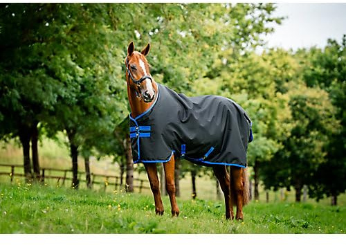 Amigo Horseware Ripstop 900D Turnout 50g 140 cm (6'3), Black/Classic Blue