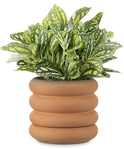 Navaris Vaso per Piante da Interno - Vaso Terracotta - Vaso Fiori Design - Vasi per Piante da Esterno - Base Rimovibile per Drenaggio - Ø 16 x 14 cm