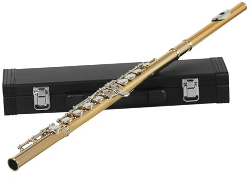 Querflöte 16 Geschlossene Löcher Flöte C-Tonart Professionelle Silberflöte Konzertmusikinstrument Flötenbox Stoffstab Handschuhe Teile(Gold A)