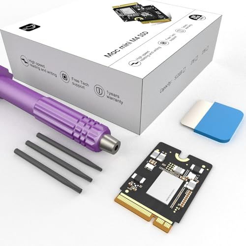 sbaceflay Mac Mini M4 SSD 1TB Hard Disk Upgrade DIY