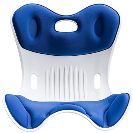 WJnflQN Support Dorsal Ergonomique pour chaises, Correction de - Coussin correcteur de Respirant Amovible pour Bureau, Camping, Voiture, Voyage, Maison