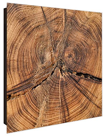 banjado Großer Schlüsselkasten Glas - Schlüsselbox 30x30cm mit 50 Haken - Schlüsselkasten modern für Schlüsselaufbewahrung mit beschreibbarer, magnetischer Glastür - Motiv Jahresringe