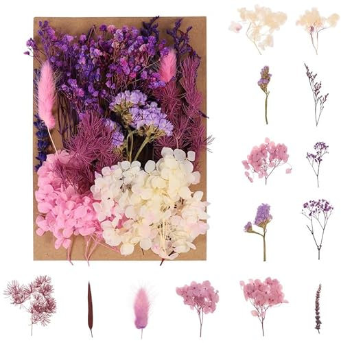 Halinuia Bouquet de Fleurs Séchées Naturelles Vraies Fleurs Pressées Décoration pour Bricolage Résine Epoxy Bijoux Floraux Nail Art DIY Bougie Fabrication Artisanale Scrapbooking(Violet)