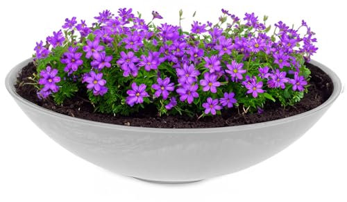 matches21 HOME & HOBBY Grande fioriera per esterni, 45 cm, colore grigio chiaro marmorizzato come fioriera resistente alle intemperie, ciotola decorativa