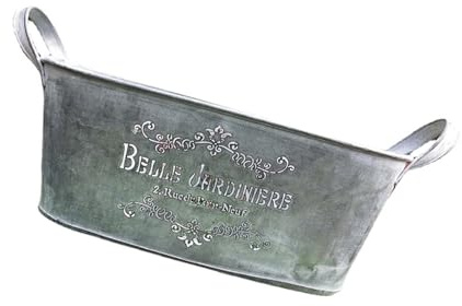 omiinitio Macetas de metal grandes flores de hierro macetas trituradoras de óxido cubo plantador granja estilos vintage para decoraciones vintage plantador cubo