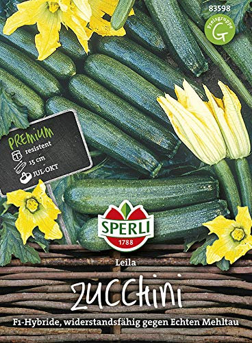 Zucchinisamen - Zucchini Leila F1 von Sperli-Samen