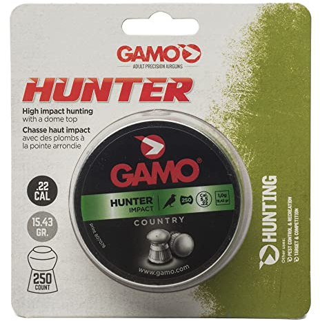 Gamo Hunter .22 Caliber Air Gun Pellets, 250 Count, Lead, Blister Pack