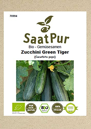 Gemüsesamen Bio Zucchini Green Tiger Freiland und Topf bitterfrei für ca. 12 Pfl. Samen Saatgut