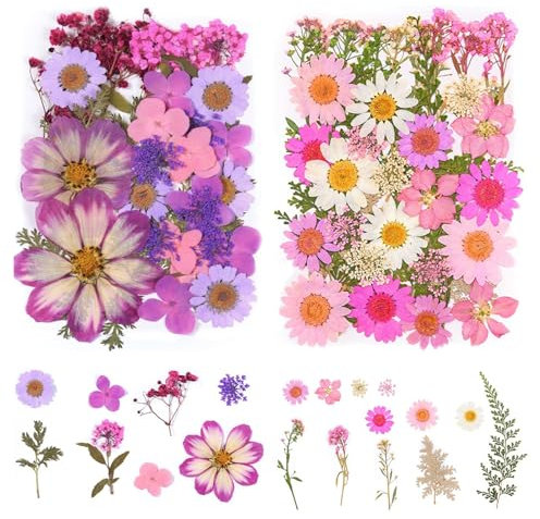 Onperpoe 2 Packs 20 Types 77pcs Dried Pressed Flowers & Leaves Kit - Pink & Purple Natural Real Dried Flowers for Crafts, Decors & Scrapbooking