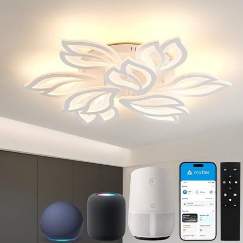 Sky angle Plafoniera LED Dimmerabile ALEXA e Google Home, Lampada da Soffitto Moderna per Soggiorno Camera da Letto Sala da Pranzo Bagno