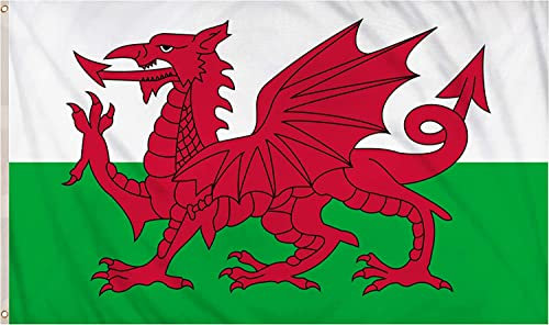 SHATCHI Large 3 x 2Ft Wales Flag Welsh Dragon Cymru National Polyester Fabric Brass Eyelets for FIFA World Cup Football Rugby Sports Supporter, Red,Green,White, 3FT x 2FT