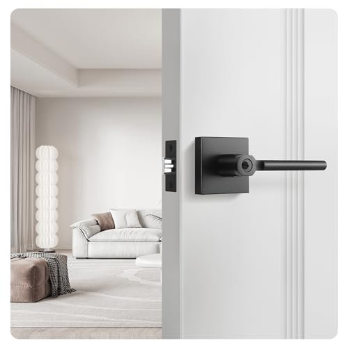 Heittis 1 Pack Black Door Handle Exterior with Lock and Key,Entrance Door Lock for Office and Front Door,Matte Black