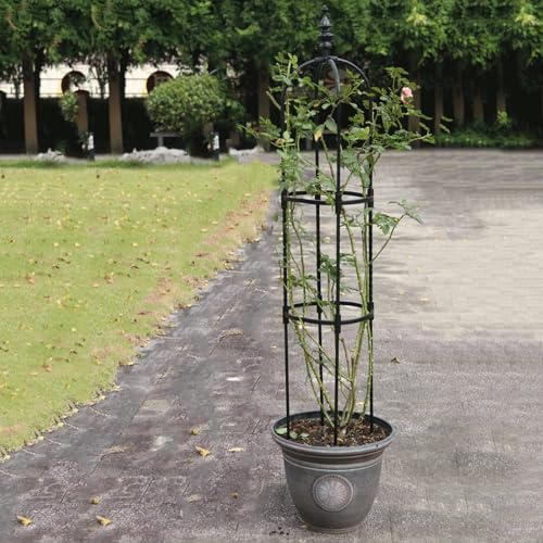 Enrejado de obelisco de jardín | Enrejado de jardín para plantas trepadoras | Jaula pesada para plantas | Enrejado de soporte para plantas de soporte para verduras, hiedra, jazmín, clemátide